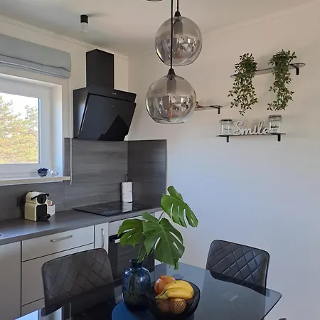Apartment New Vivano V I D With Amazing View Zambratija (Istria)