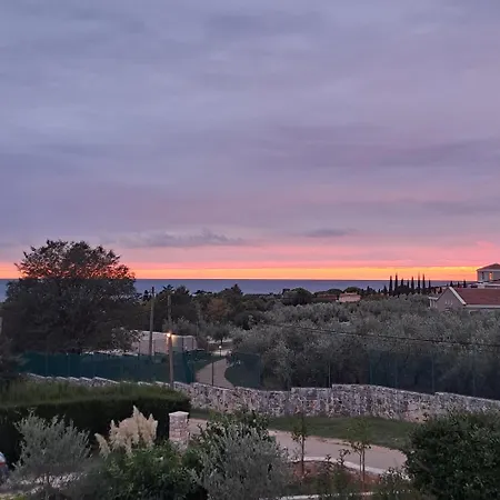 New Vivano V I D With Amazing View