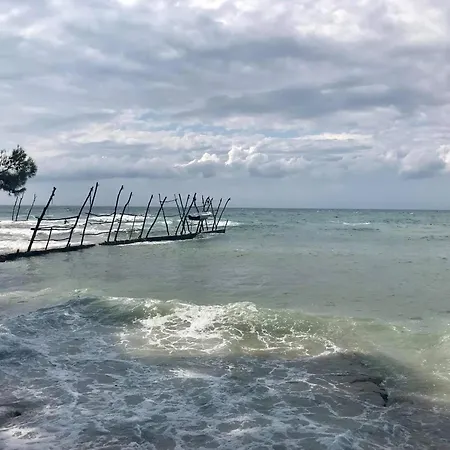 New Vivano V I D With Amazing View Zambratija (Istria)