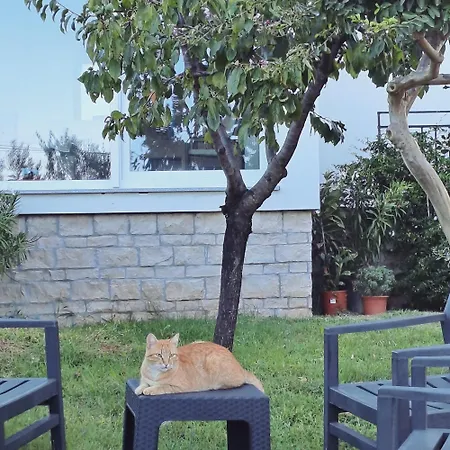 New Vivano V I D With Amazing View Apartment Zambratija (Istria)